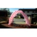 Main Entrance Tunnel Balloon Arch